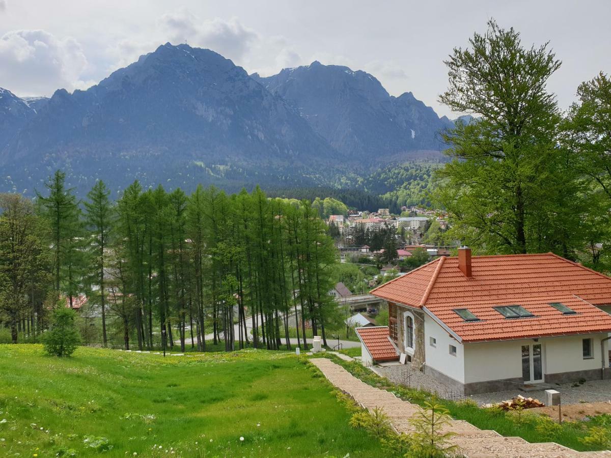 Castelul Cantacuzino Busteni Luaran gambar